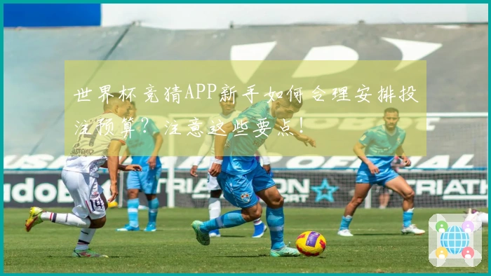 世界杯竞猜APP新手如何合理安排投注预算？注意这些要点！