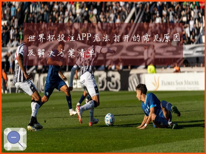 世界杯投注APP无法打开的常见原因及解决方案清单
