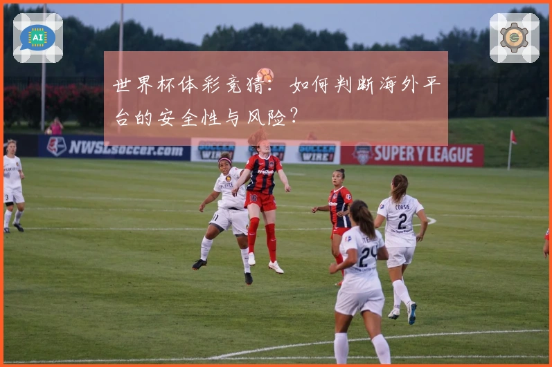 世界杯体彩竞猜：如何判断海外平台的安全性与风险？
