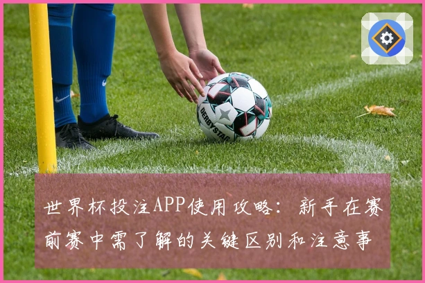 世界杯投注APP使用攻略：新手在赛前赛中需了解的关键区别和注意事项