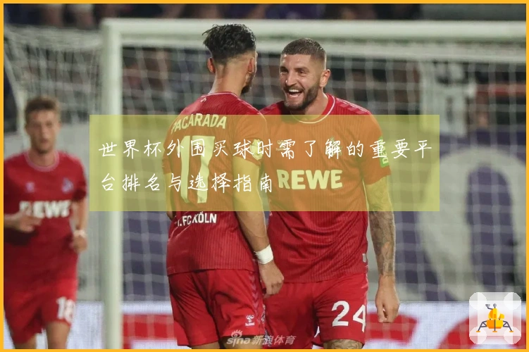 世界杯外围买球时需了解的重要平台排名与选择指南