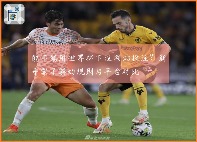 能不能用世界杯下注网站投注？新手需了解的规则与平台对比