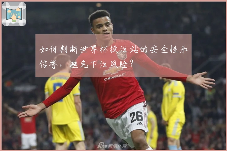 如何判断世界杯投注站的安全性和信誉，避免下注风险？
