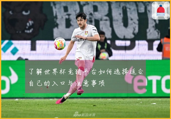 了解世界杯竞猜平台如何选择适合自己的入口与注意事项