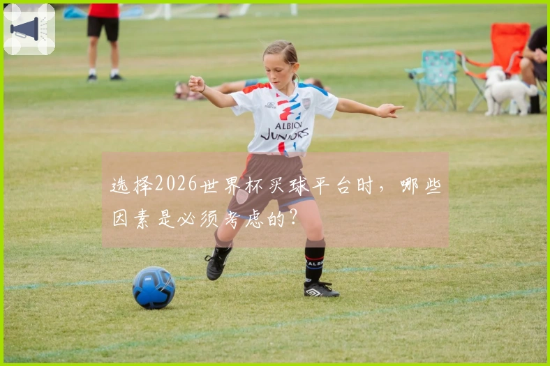 选择2026世界杯买球平台时，哪些因素是必须考虑的？