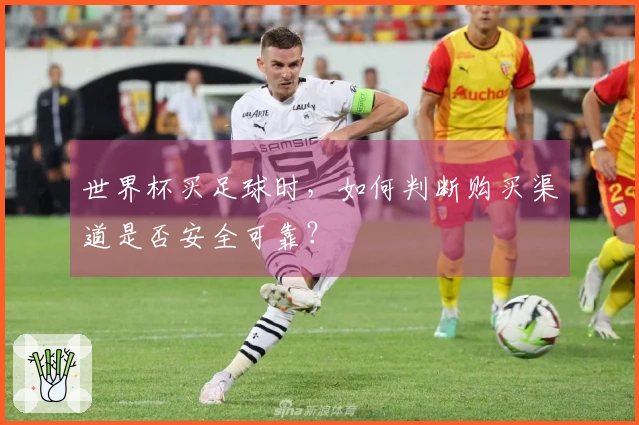 世界杯买足球时，如何判断购买渠道是否安全可靠？