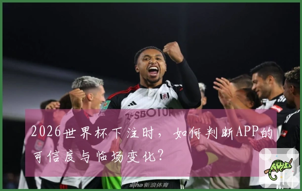 2026世界杯下注时，如何判断APP的可信度与临场变化？
