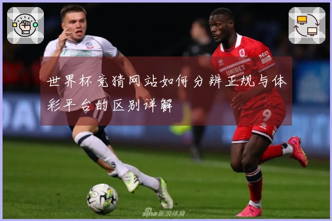 世界杯竞猜网站如何分辨正规与体彩平台的区别详解