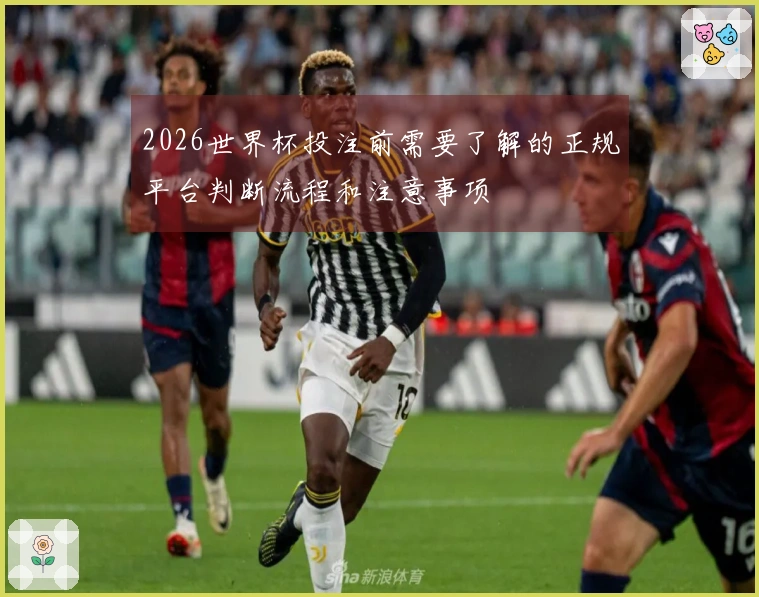 2026世界杯投注前需要了解的正规平台判断流程和注意事项