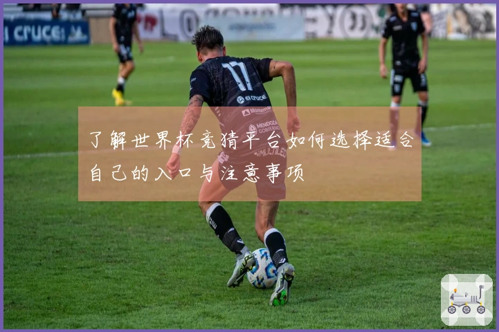 了解世界杯竞猜平台如何选择适合自己的入口与注意事项