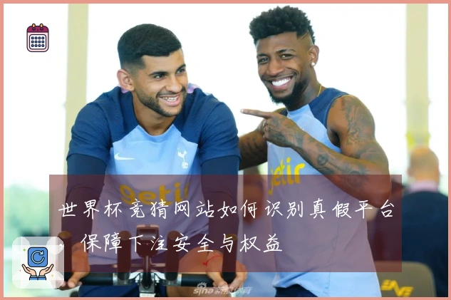 世界杯竞猜网站如何识别真假平台，保障下注安全与权益