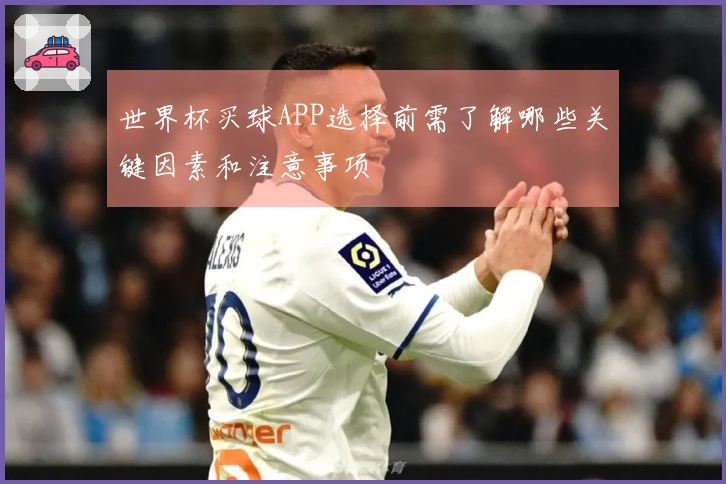 世界杯买球APP选择前需了解哪些关键因素和注意事项