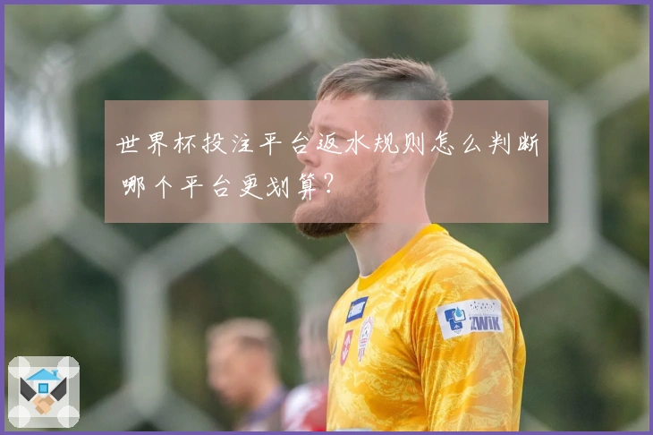 世界杯投注平台返水规则怎么判断 哪个平台更划算？