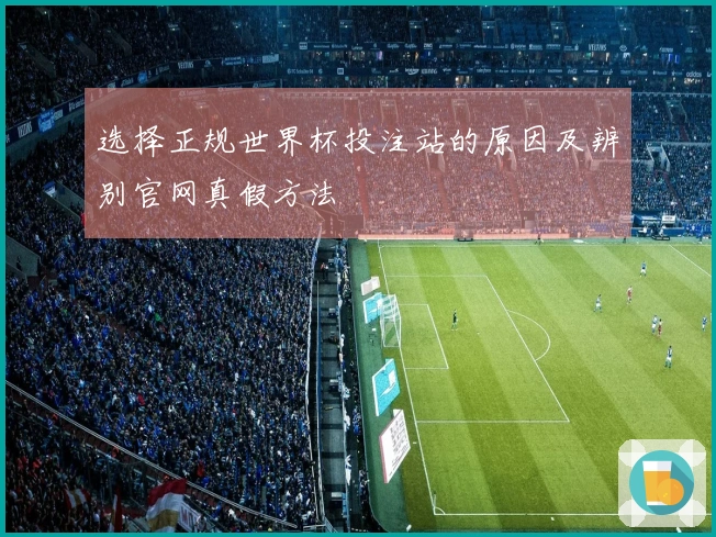 选择正规世界杯投注站的原因及辨别官网真假方法