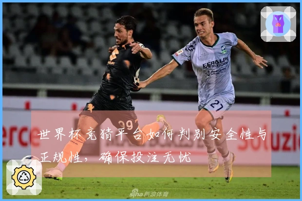 世界杯竞猜平台如何判别安全性与正规性，确保投注无忧