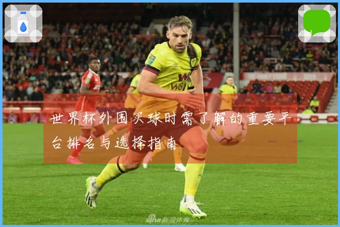 世界杯外围买球时需了解的重要平台排名与选择指南