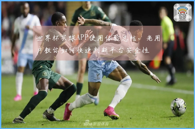世界杯买球APP使用体验总结，老用户教你如何快速判断平台安全性