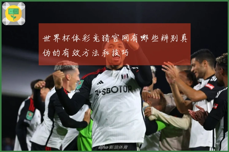 世界杯体彩竞猜官网有哪些辨别真伪的有效方法和技巧
