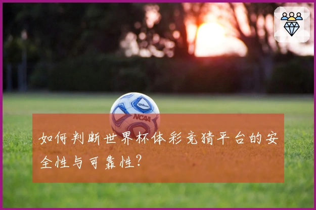如何判断世界杯体彩竞猜平台的安全性与可靠性？