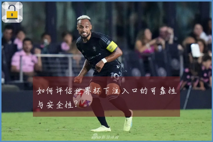 如何评估世界杯下注入口的可靠性与安全性？
