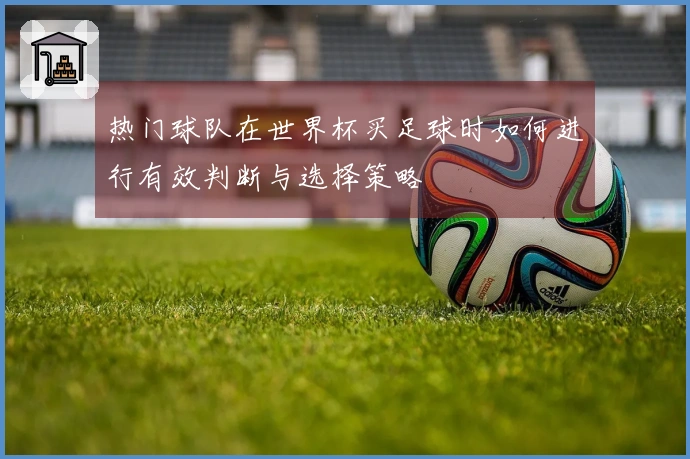 热门球队在世界杯买足球时如何进行有效判断与选择策略
