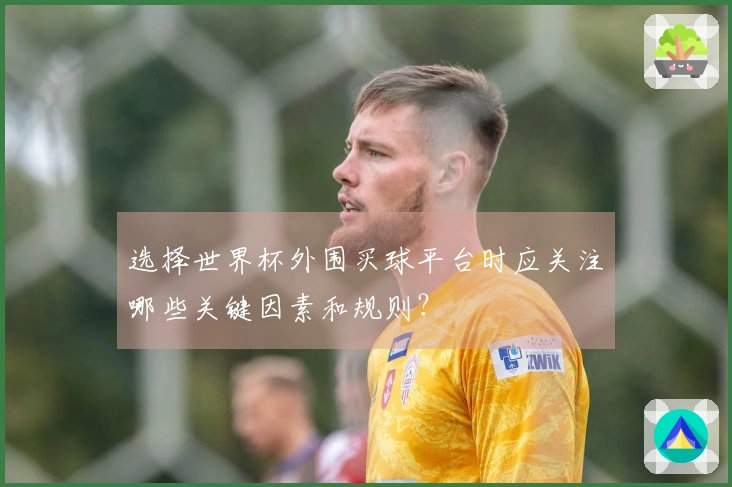 选择世界杯外围买球平台时应关注哪些关键因素和规则？