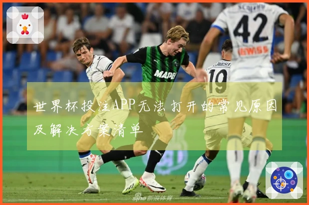 世界杯投注APP无法打开的常见原因及解决方案清单