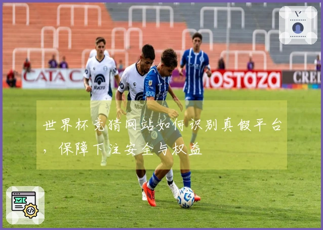 世界杯竞猜网站如何识别真假平台，保障下注安全与权益