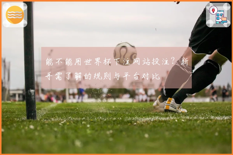 能不能用世界杯下注网站投注？新手需了解的规则与平台对比