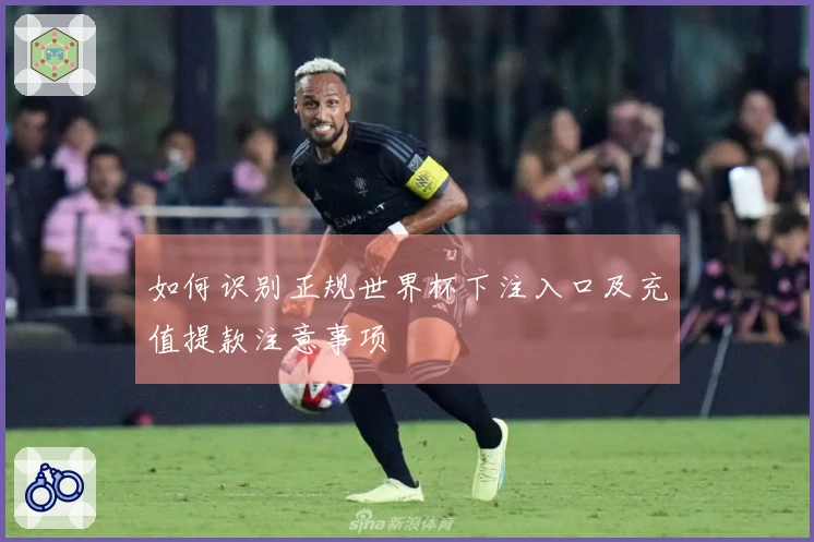 如何识别正规世界杯下注入口及充值提款注意事项