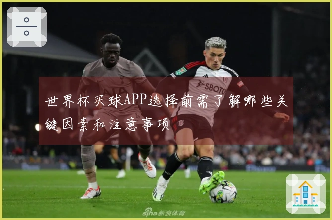 世界杯买球APP选择前需了解哪些关键因素和注意事项