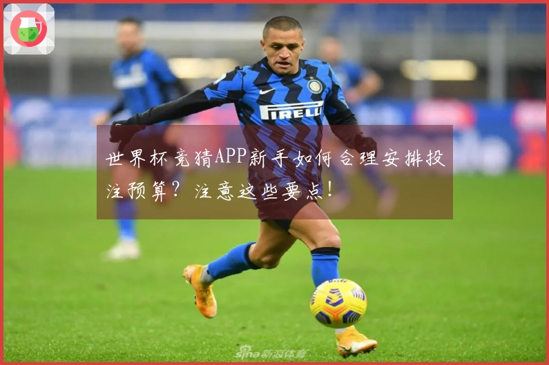 世界杯竞猜APP新手如何合理安排投注预算？注意这些要点！