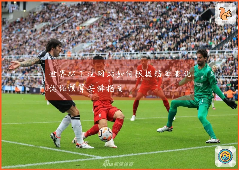世界杯下注网站如何根据赔率变化优化预算安排指南